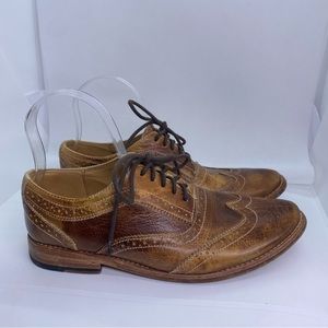 Bed Stu Lita Leather Brogue Wingtip Oxford
in Chocolate Brown